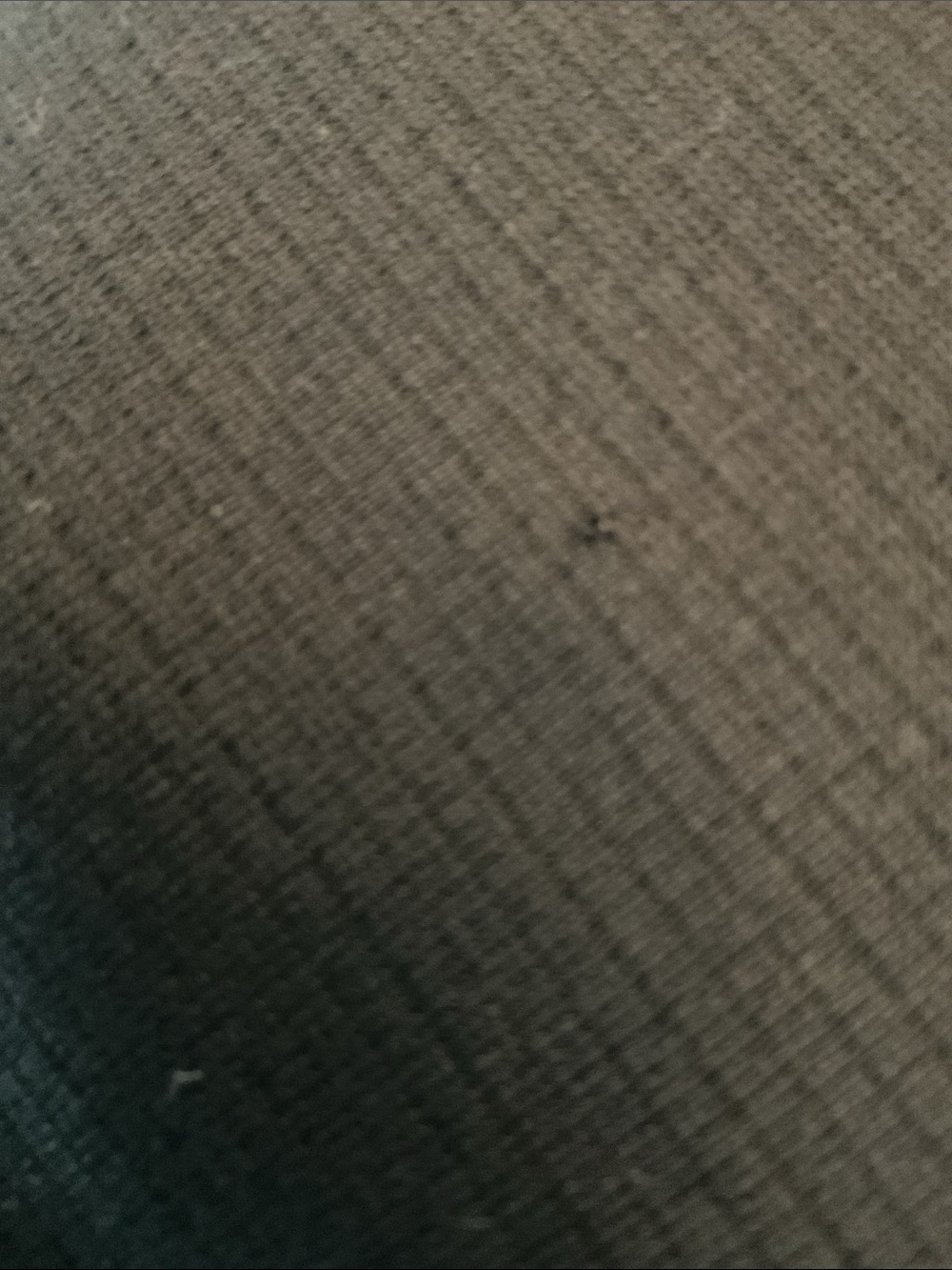 Under Armour Shirt - Picture 5 of 7
